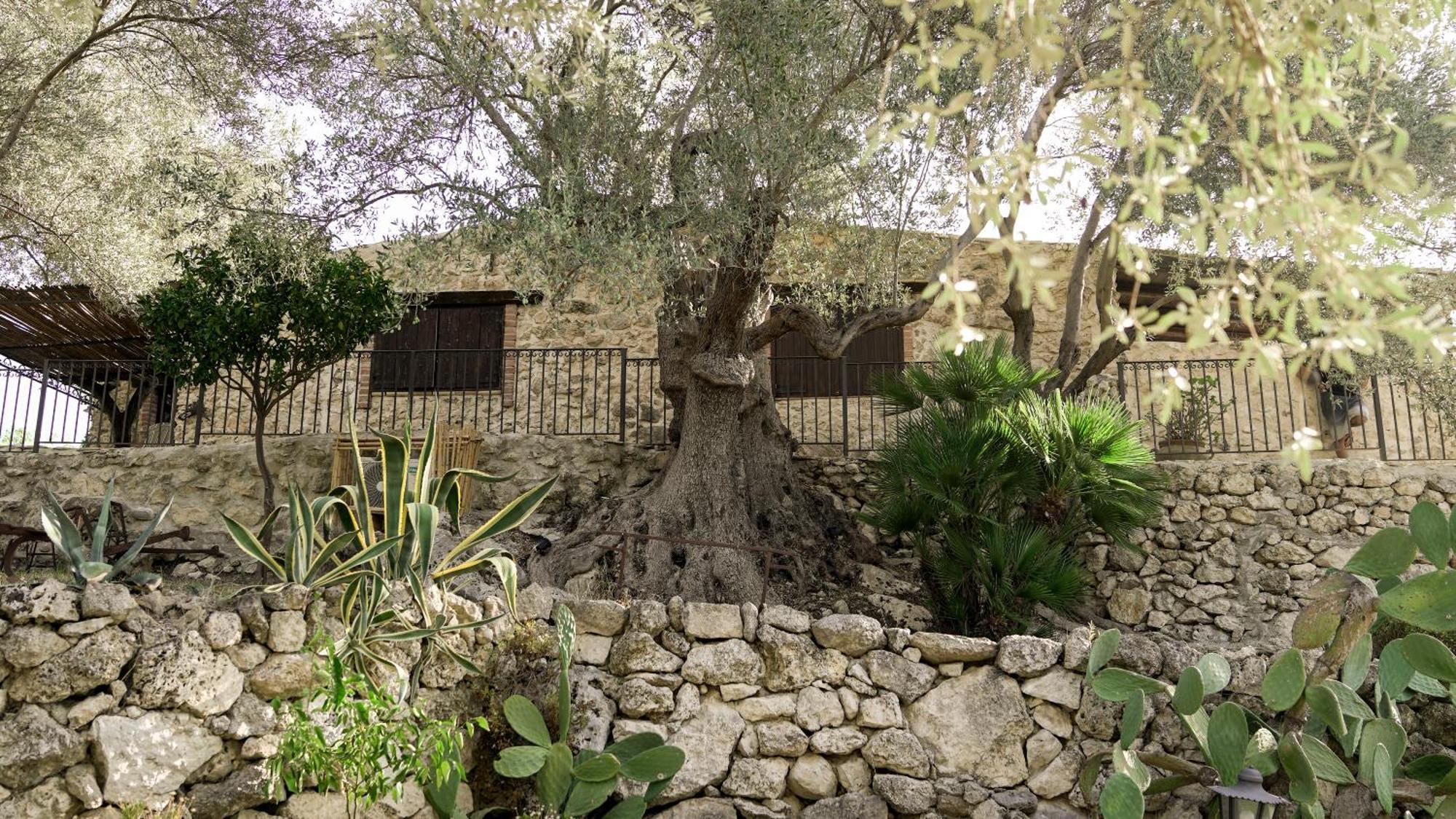 Bed and Breakfast Roba Degli Ulivi Agrigento Exterior foto